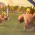 May 2016 Update Clash of Clans