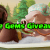 Clash of Clans How to Get Free Gems